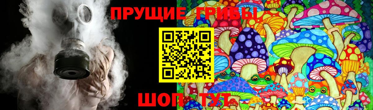 Псилоцибиновые грибы прущие грибы Орск
